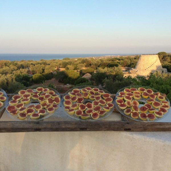 Figs drying